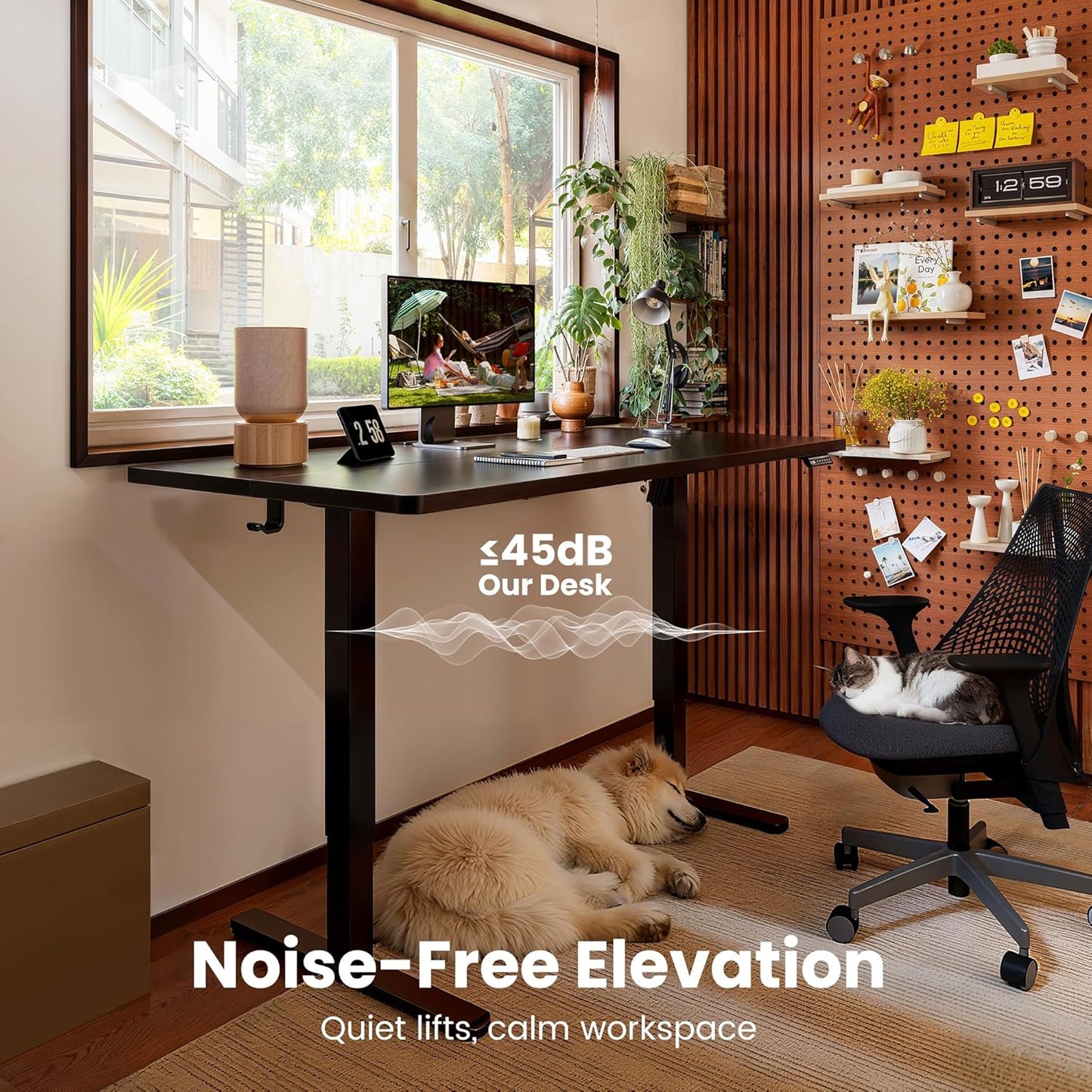 Height Adjustable Electric Standing Desk, 48 X 24 Inches Sit Stand up Desk, Memory Computer Home Office Desk (Black)