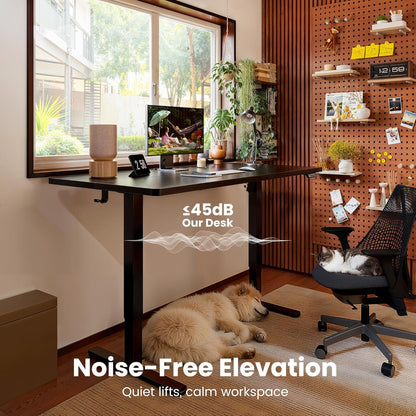 Height Adjustable Electric Standing Desk, 48 X 24 Inches Sit Stand up Desk, Memory Computer Home Office Desk (Black)