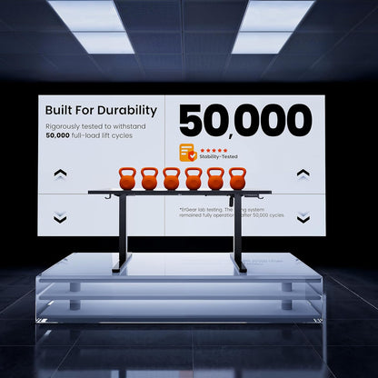 Height Adjustable Electric Standing Desk, 48 X 24 Inches Sit Stand up Desk, Memory Computer Home Office Desk (Black)